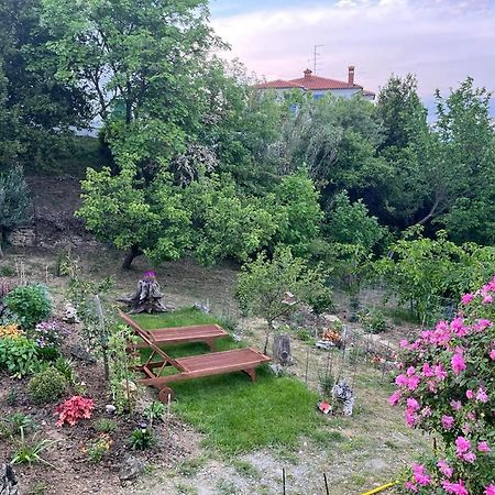 Studio Olea Κόπερ Εξωτερικό φωτογραφία