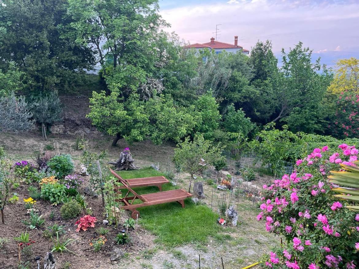 Studio Olea Κόπερ Εξωτερικό φωτογραφία